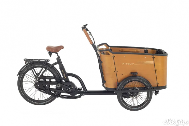 Cargo bike brands on sale